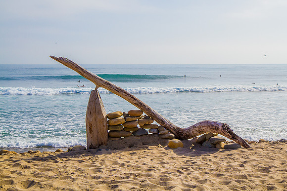 Lower Trestles Driftwood
