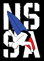 NSSA 2013